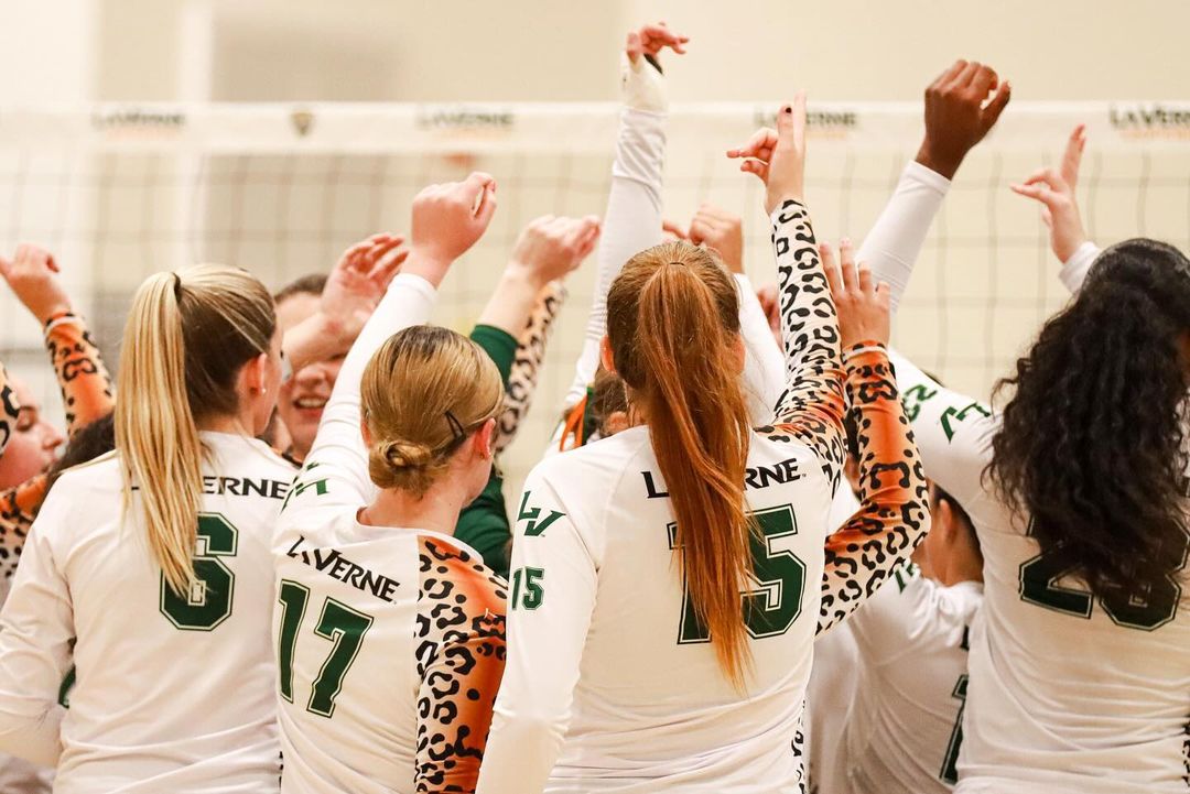 The Best States For Volleyball REN Athletics